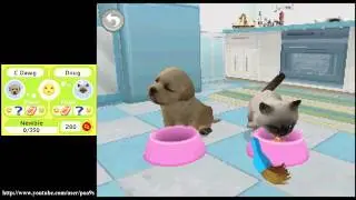 Petz Puppys & Kittenz Gameplay (2011 DS) 1080p HD HQ Playable on Nintendo DSi 3DS DSXL