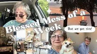 VLOG:  Adding a Walking Pad Treadmill to my Office, Very Sick Dog, Lakeside Party, Busy Week