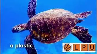 Impact of plastic straws and Disposable cup on Coastal and Beach litter in India . || CHE110 PROJECT