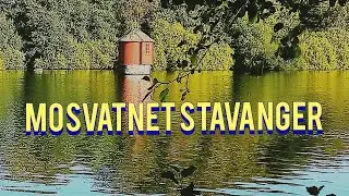 Walking tour mosvatnet camping, Stavanger art museum in Sunday afternoon