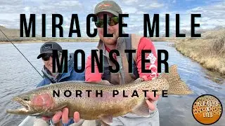 Fly Fishing Wyoming&rsquo;s Miracle Mile: Landing a 22