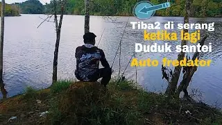 Serangan tiba2 predator yg satu ini umpan lele brengosen#Daniyospot