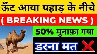 BREAKING NEWS 😱 | 50% मुनाफ़ा लुढ़का | BEST MIDCAP SHARE | BEST CHEMICAL SHARE | FINE ORGANICS SHARE