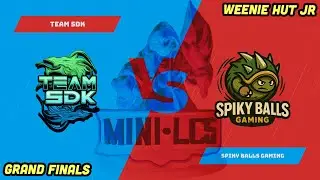 Team 5DK vs Spiky Balls Gaming - Game 3 (Mini LCS Summer Invitational 2025, Grand Finals)