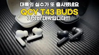 QCY T43 버즈 완벽 리뷰! 4g 초경량에 35시간 배터리 | 대륙의 실수 가성비 이어폰 추천