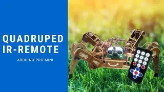 Quadruped Robot with IR Remote