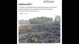 Tous les arbres