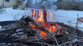 bonfire and hotdogs in our backyard.