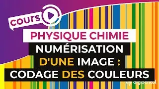 Numérisation d'une image : Le codage des couleurs - Physique-Chimie - Terminale S - digiSchool
