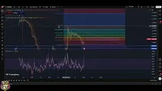 XCN Crypto Update: Bullish or Deeper Correction? #shorts