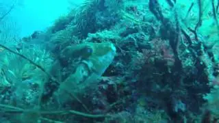 20160227 kitamakura