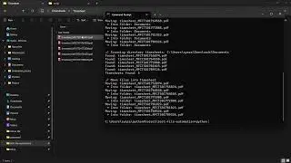 Sorting Files Automation using Python (Script Demo)