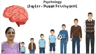 Human Development | Class 11 Psychology | NCERT Explained