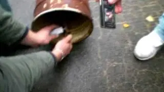 Totenkopfb&ouml;ller vs. Farbeimer