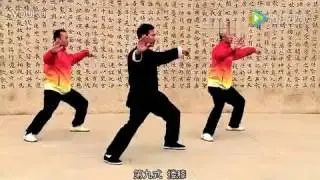 Chén Bǐng 陳炳, Lǎo Jià Yī Lù, 老架一路, 9 塿膝 Lóu Xī.