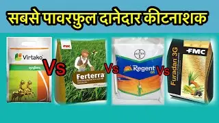 Which is the most powerful granular insecticide? Learn more: Syngenta Virtako vs. FMC Ferterra vs. Regent vs. Furadan