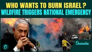 Israel’s WORST Wildfire in Years Sparks National Emergency | Arsonist Arrested Who Started The Fire