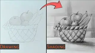 Learn to Draw and Shade a Basket of Fruits | Easy Step-by-Step Guide
