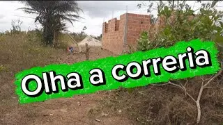 Olha como está a nossa casa na roça 🚨🚨🚨🚨👏👏👏👏👏👏👏