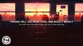End of Time - K-391, Alan Walker & Ahrix (Lyrics + Vietsub) ♫