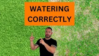 Mastering Bermudagrass: Essential Watering Tips Revealed