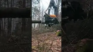 Most Viral Logging Video ever!? #equipment #machine