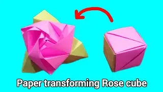 Paper Transformation Magic Rose Cube Origami ||  Transforming Flower origami #paperrose #papercraft
