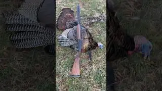 The 828U's gotta eat too.🎥: Benelli Ambassador Seth Dortch #benelli