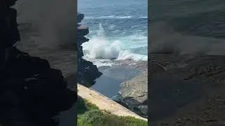Big Sydney waves