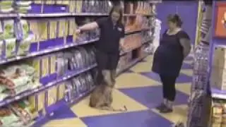 The Touch Cue