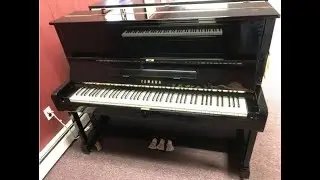 Used Yamaha Ebony Polish U-1 48