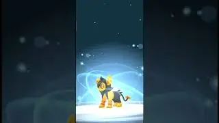 Evolve Shiny Shinx | POKEMON GO