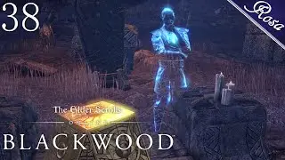 Family Obligations | Part 38 | ESO Blackwood