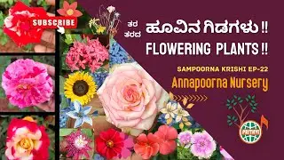 ಇಲ್ಲಿ ಹೂವಿನ ಸಂತೆ! Bunch of flowering plants here! | Annapoorna Nursery, Udupi | Sampoorna Krishi