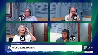 DR. WALTER CHIHAN CON MICRO VETERINARIO EN MODO PROFESIONAL 12/12/25