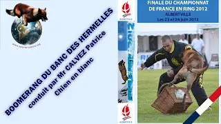 Finale Ring 2012 - BOOMERANG DU BANC DES HERMELLES - CALVEZ Patrice