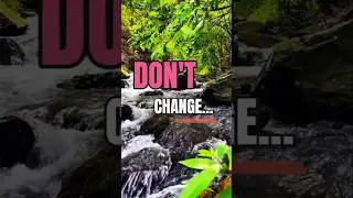 Don't Change :: BeyondLife