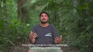 João Campos-Silva’s research is strengthening community-based efforts to save Amazon species
