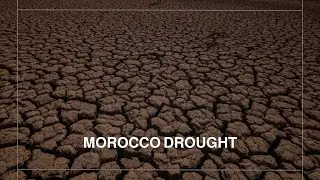 'There's no hope' says Moroccan herder amidst drought, record temperatures