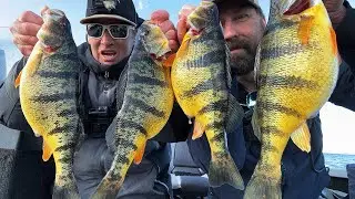 Can I Catch More Than Taro Murata?