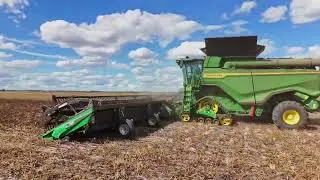 Midwest Mung Beans Harvest