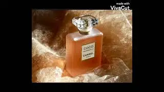 The best perfume from Chanel Is coco Mademoiselle￼#fragrance #new #newyork #channel#cocomademoiselle