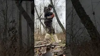 Охота на вальдшнепа с дратхааром ноябрь 2025, девушка охотник / Woodcock hunting, girl hunter