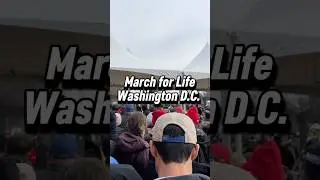 March for Life in D.C. #viralshort #fypシ゚viral #prolifegen #foryou #fyp #marchforlife