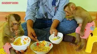 Mom Cooking Steamed Chicken Eggs With Rice And Vegetables For Baby Kako