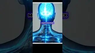 Michio Kaku: Why AI Still Can&rsquo;t Match the Human Brain
