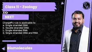 Chargaff's rule is applicable to a. Single stranded DNA b. Double stranded DNA c. Single stranded...