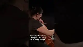 Night in my life as a Professional cellist: Opera Edition
