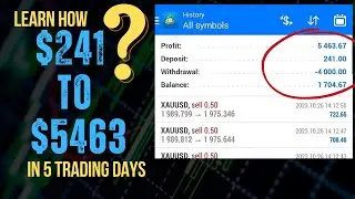 Forex Trading Account Growth: Strategies for Success     #bestforexrobot #forextrading #tradingrobot