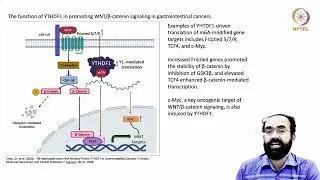 Epitranscriptome and Protein Synthesis: Biological Implications of RNA.... #swayamprabha #CH31SP
